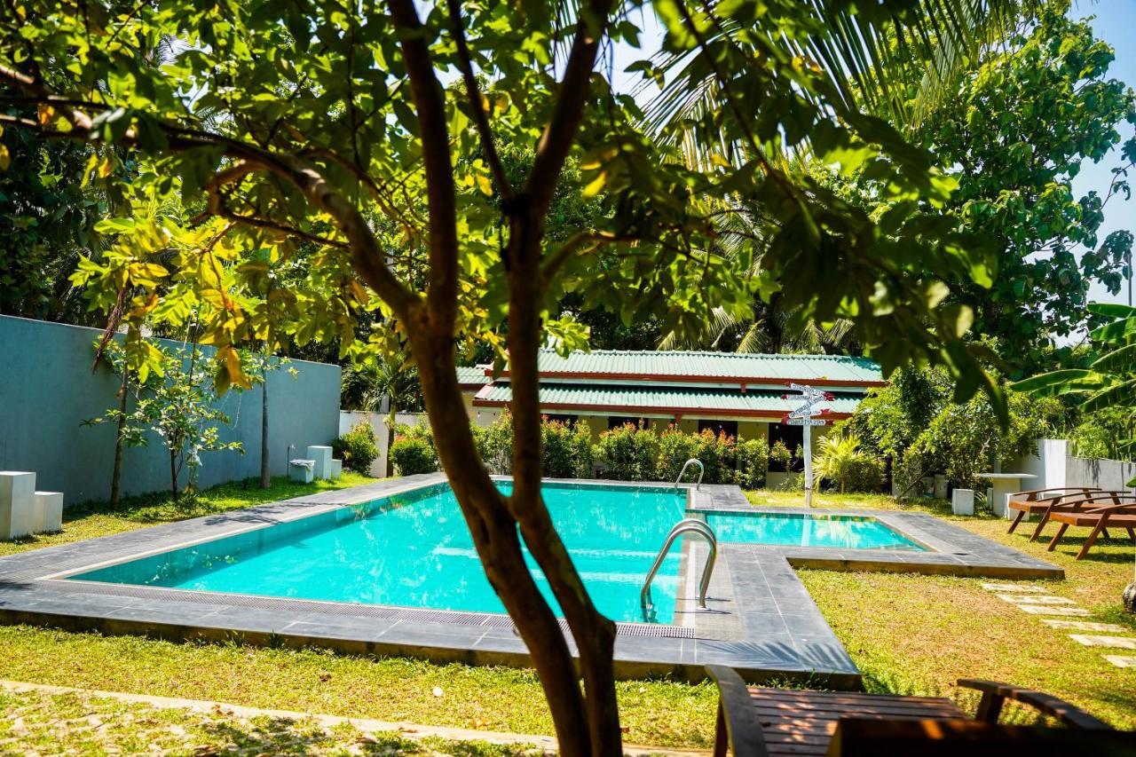Sigiri Sierra View Resort Сигирия Екстериор снимка